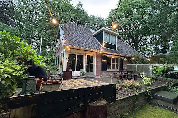 House sit in Deventer, Netherlands