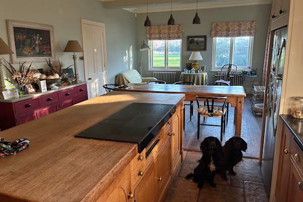 House sit in Andover, United Kingdom