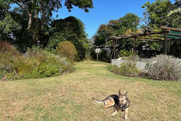House sit in Cape Town, South Africa
