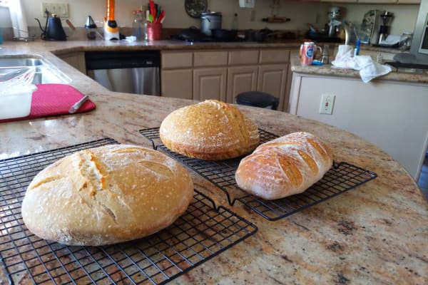 House sit in Rio Rancho, NM, US