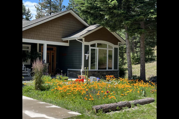 House sit in Missoula, MT, US