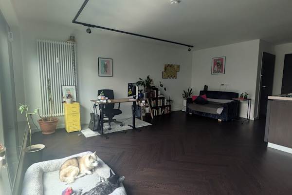 House sit in Hamburg, Germany