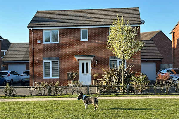 House sit in Lichfield, United Kingdom