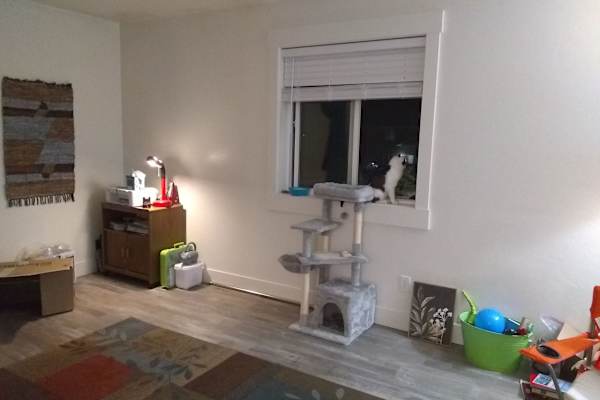 House sit in Pocatello, ID, US