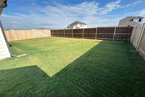 House sit in Manor, TX, US