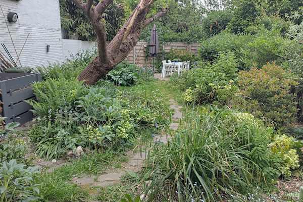 House sit in Antwerpen, Belgium