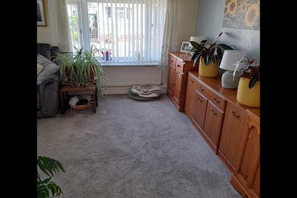House sit in Bovey Tracey, United Kingdom