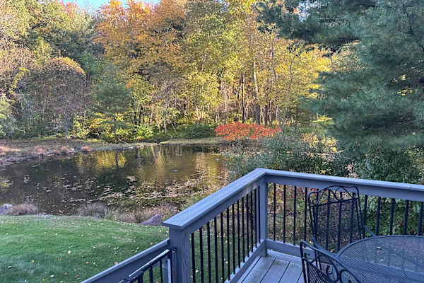 House sit in Avon, CT, US