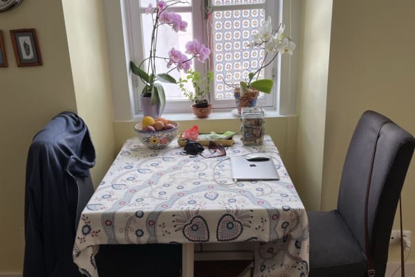 House sit in Lisbon, Portugal