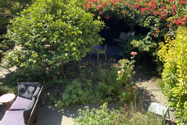 House sit in El Cerrito, CA, US