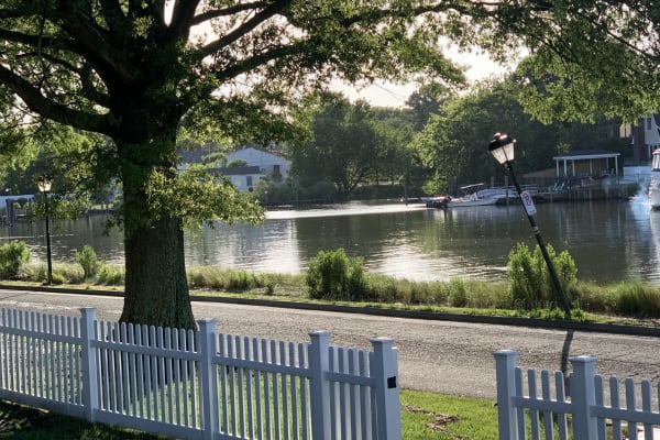 House sit in Norfolk, VA, US