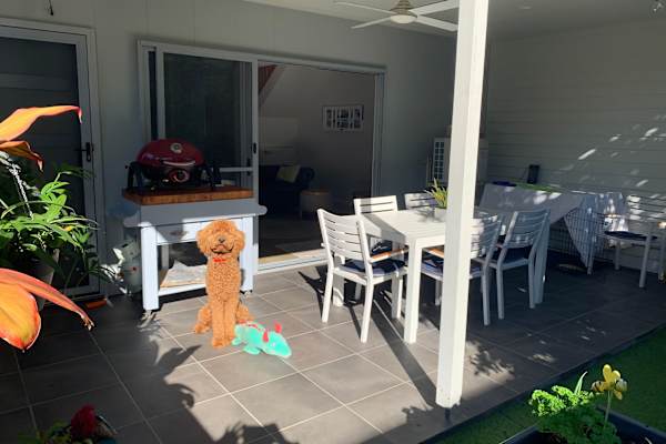 House sit in Caloundra, QLD, Australia