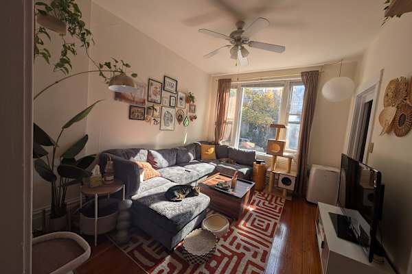 House sit in Chicago, IL, US