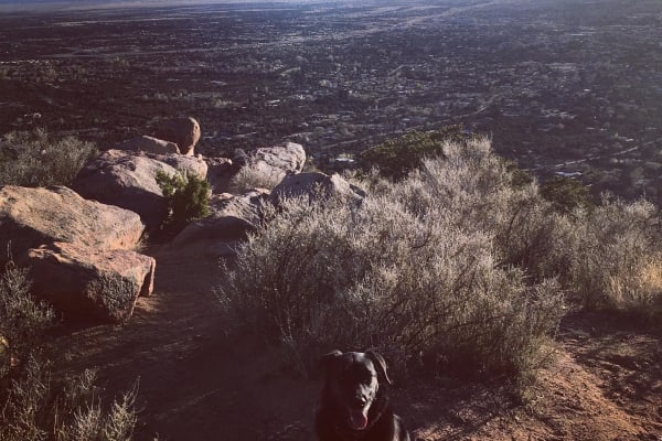 House sit in Santa Fe, NM, US