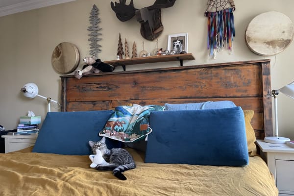 House sit in Ottawa, ON, Canada