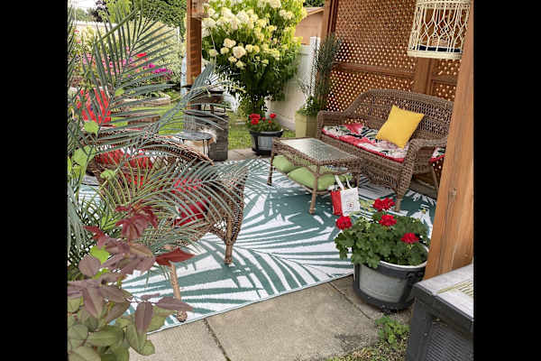 House sit in Ottawa, ON, Canada