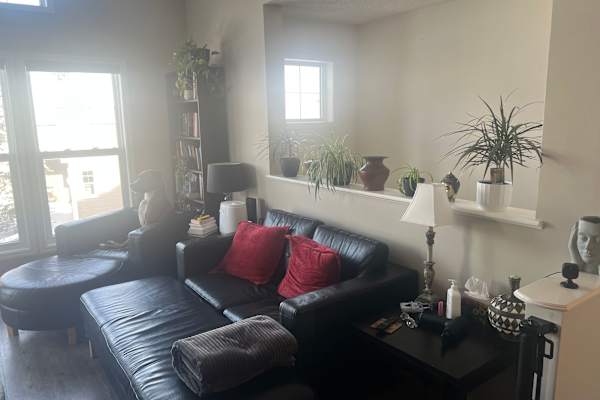 House sit in Calgary, AB, Canada