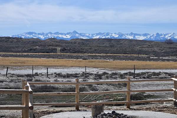 House sit in Montrose, CO, US