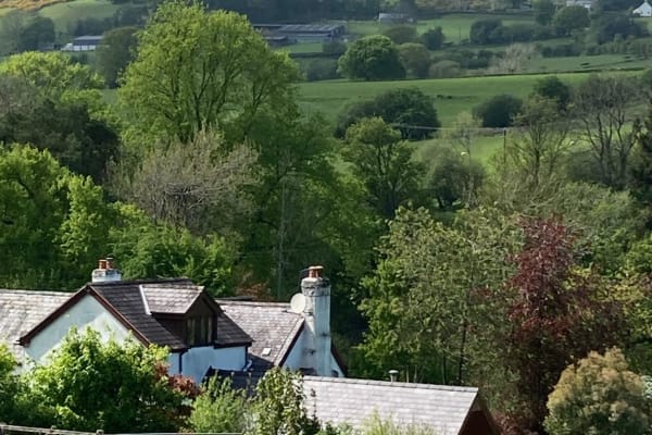 House sit in Ruthin, United Kingdom