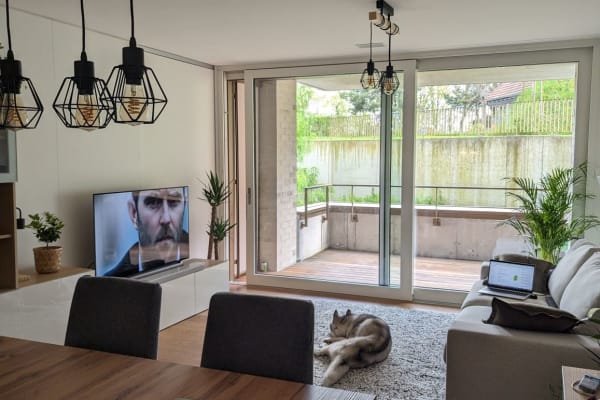 House sit in Zürich, Switzerland