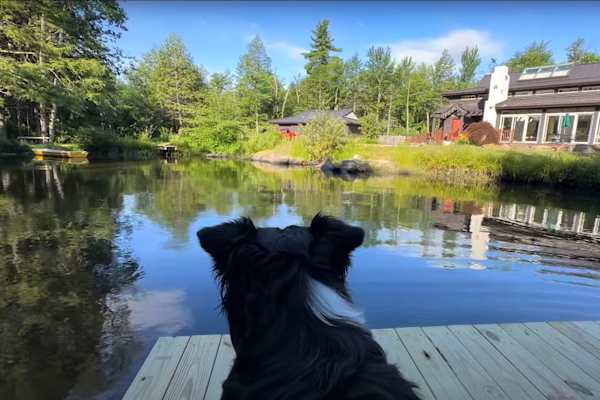 House sit in Wilton, NH, US