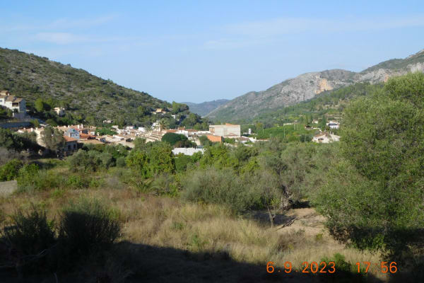 House sit in Alcalalí, Spain