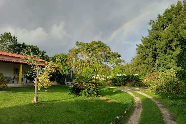 House sit in Alfeizerão, Portugal
