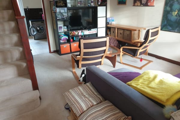 House sit in Derby, United Kingdom