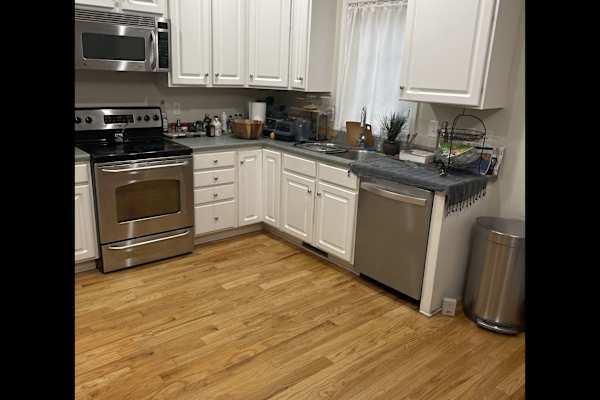 House sit in Charlottesville, VA, US