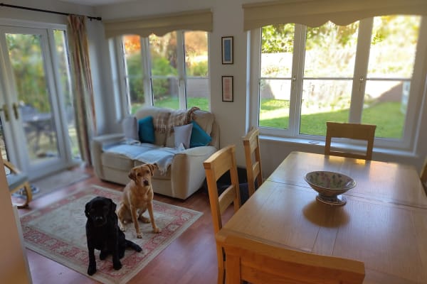 House sit in Drumoak, United Kingdom