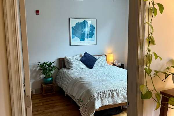 House sit in Philadelphia, PA, US