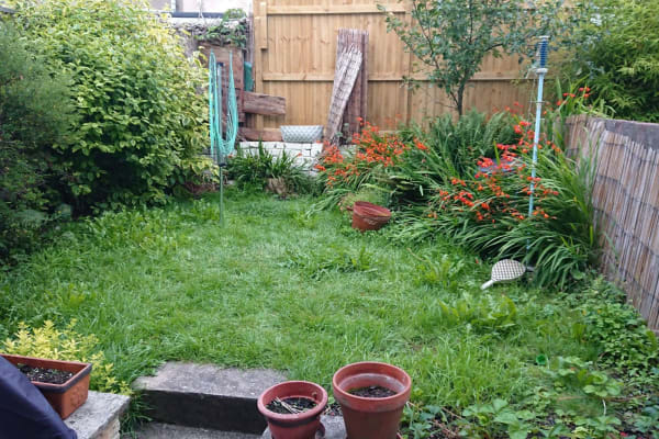 House sit in Bristol, United Kingdom