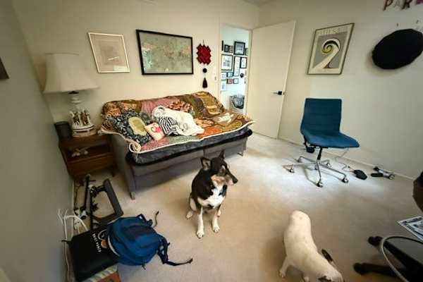 House sit in San Anselmo, CA, US