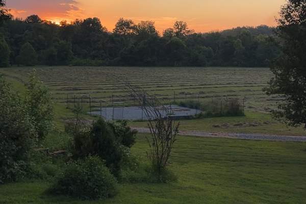 House sit in Cadiz, KY, US