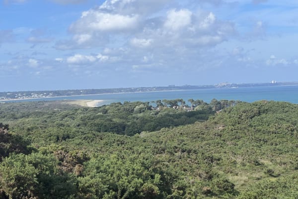 House sit in Swanage, United Kingdom