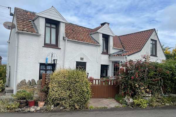 House sit in Cheddar, United Kingdom