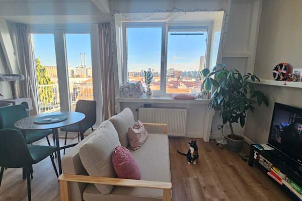 House sit in Scheveningen, Netherlands