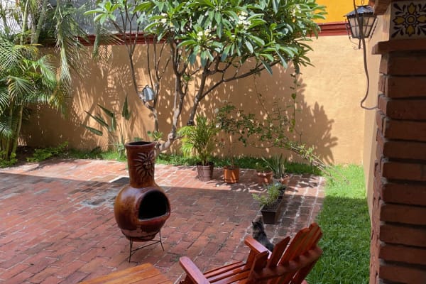 House sit in Oaxaca, Mexico