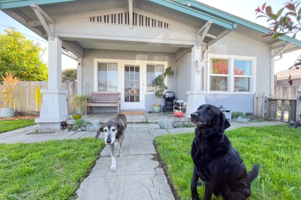 House sit in Santa Cruz, CA, US
