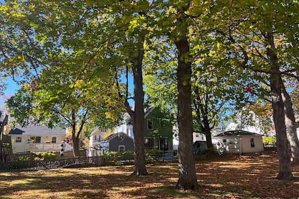 House sit in Portsmouth, NH, US
