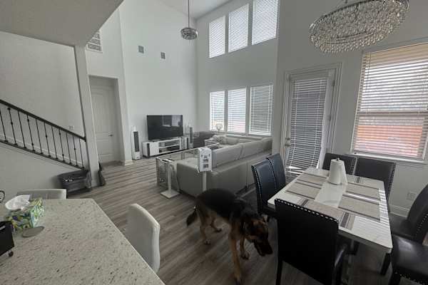 House sit in Leander, TX, US