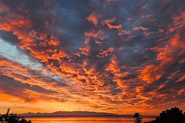 House sit in Mukilteo, WA, US