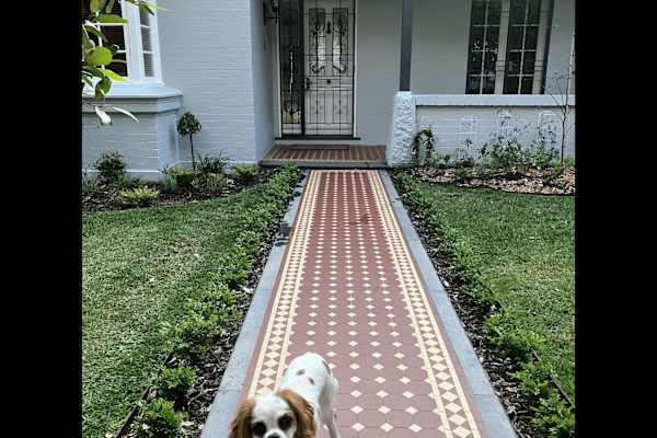 House sit in Sydney, NSW, Australia