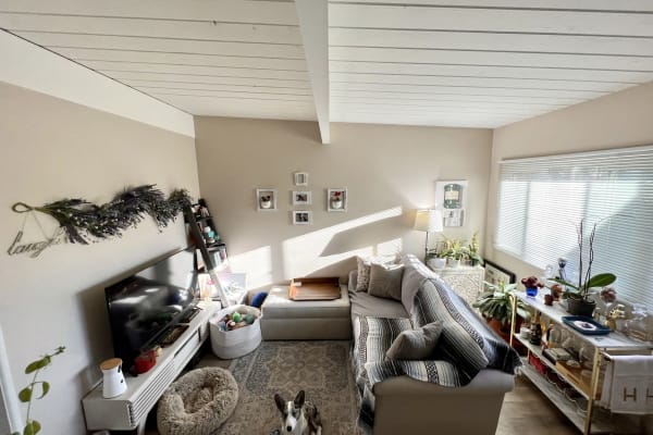 House sit in Santa Barbara, CA, US