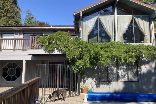 House sit in Fairfax, CA, US