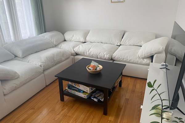 House sit in Montréal, QC, Canada