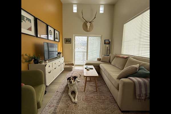 House sit in Salida, CO, US