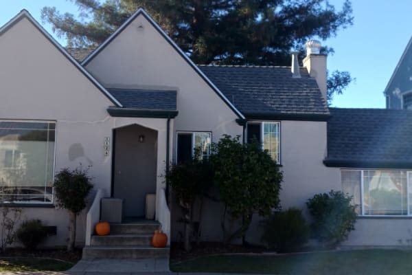 House sit in Albany, CA, US