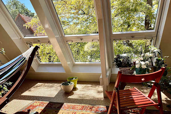 House sit in Eindhoven, Netherlands