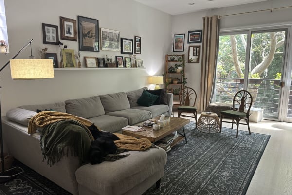 House sit in Chicago, IL, US